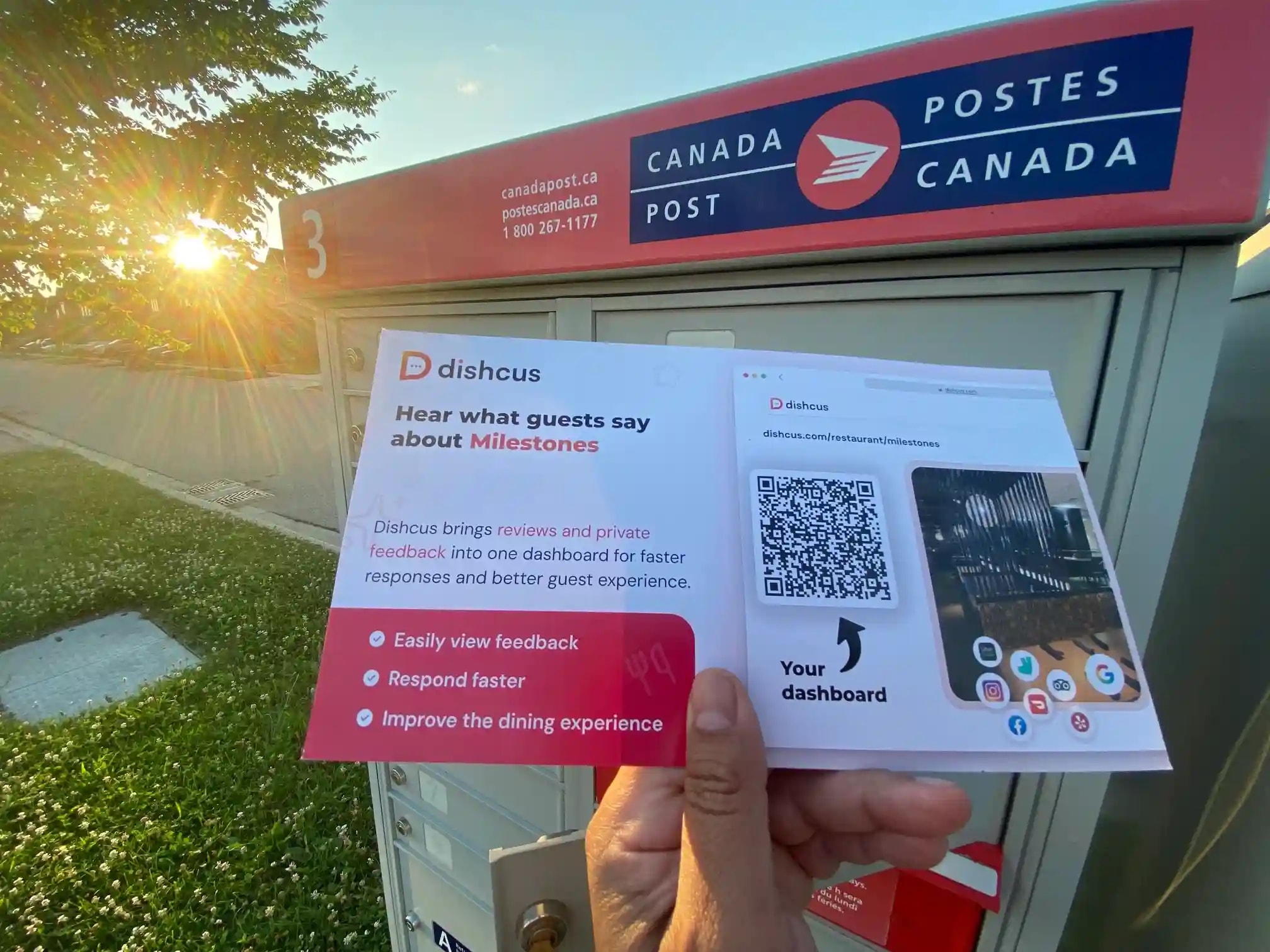 Dishcus postcard arriving at a restaurant group's mailbox