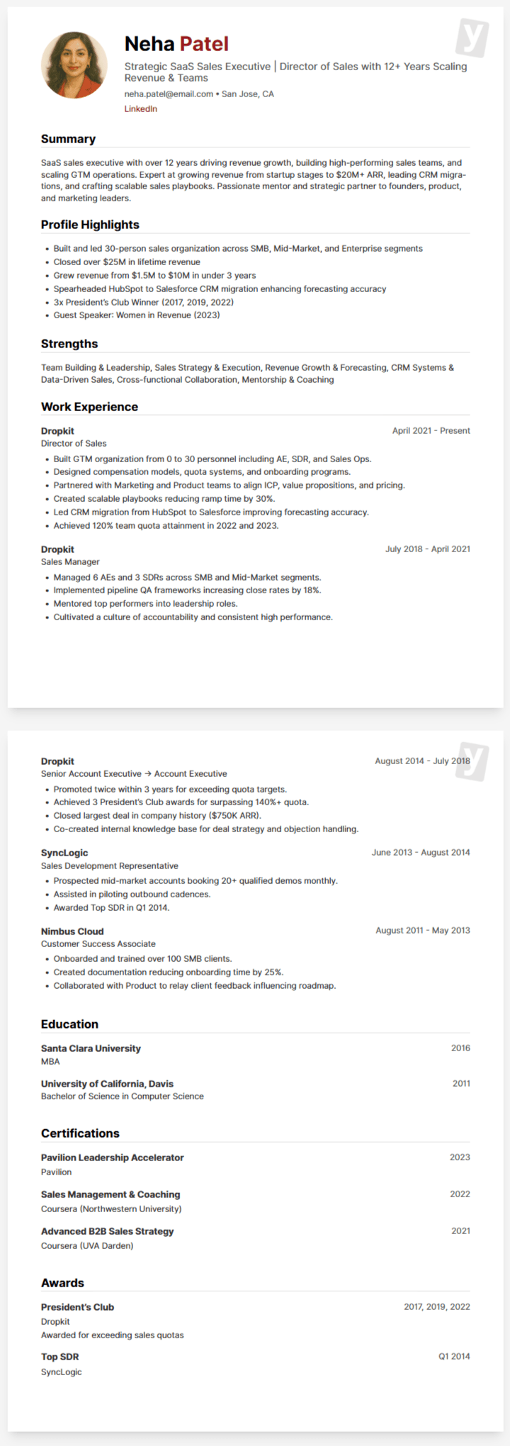 Resume Example - Director of Sales