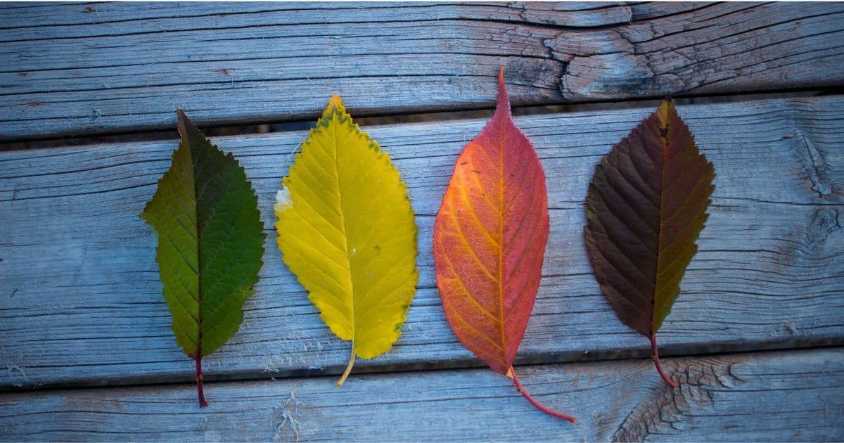 Professional reviewing resume accomplishments and making edits to transform duties into measurable results that get interviews