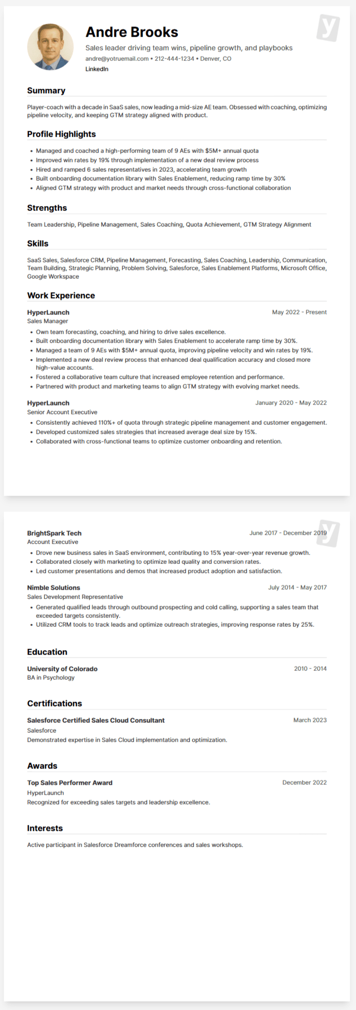 Resume Example - Sales Manager