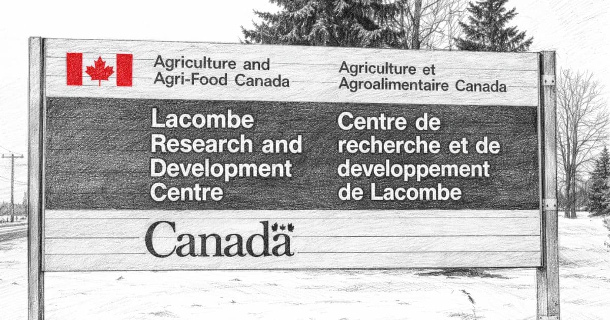 Agriculture and Agri-Food Canada employee navigating workforce adjustment and career transition after January 2026 layoffs