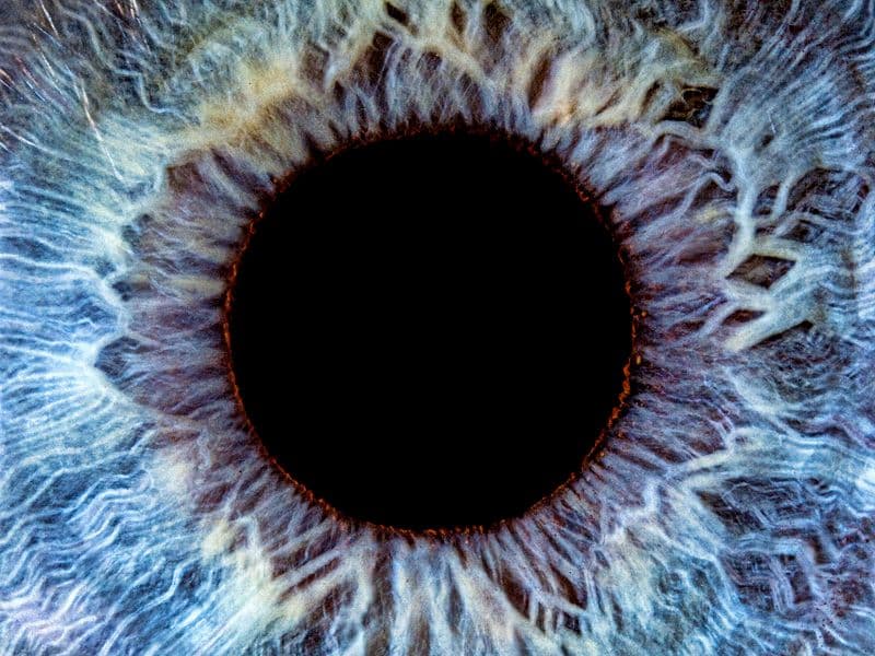 Guest photo from a Google review at Oculus Eyecare and Optical