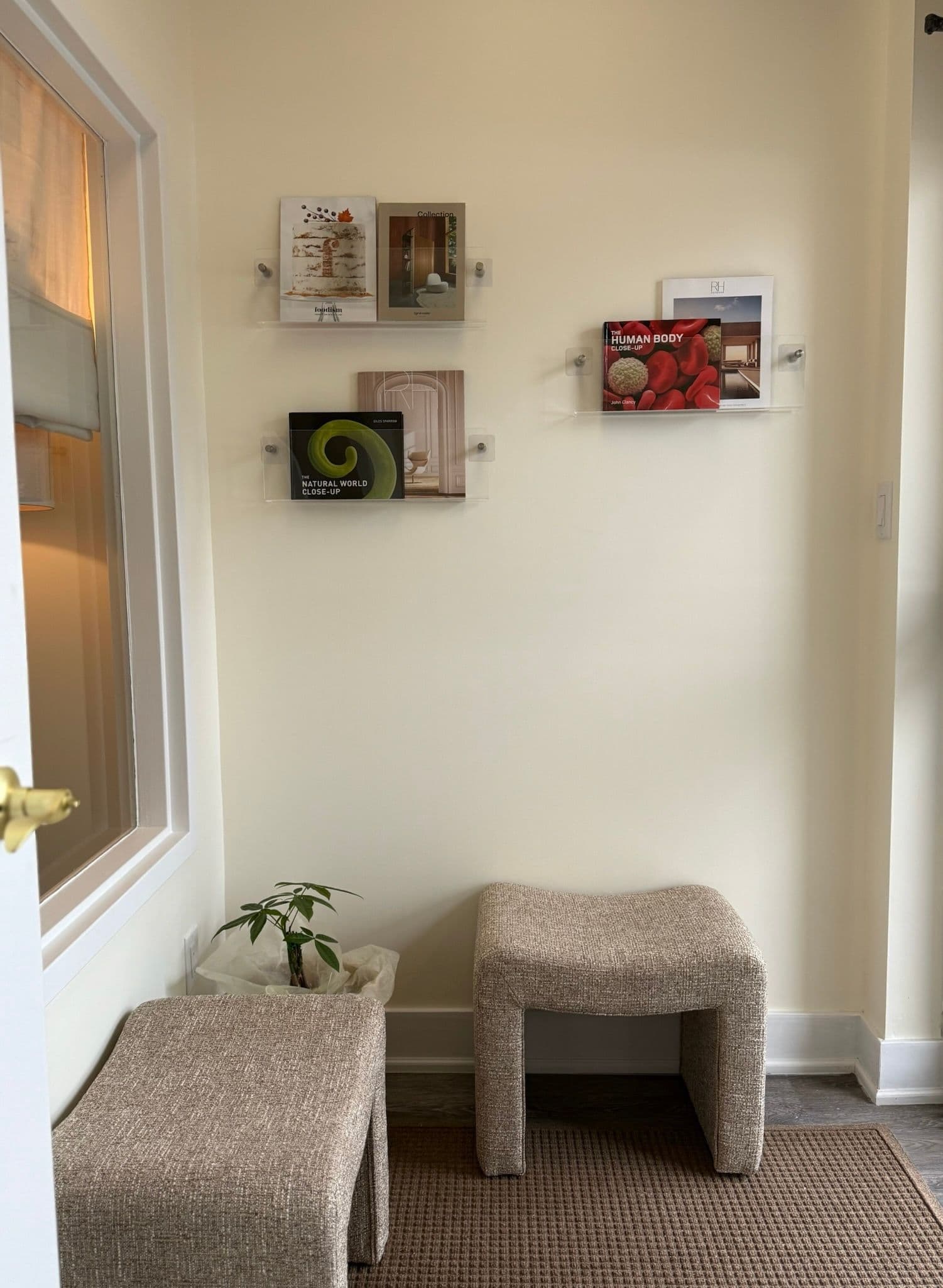 Guest photo from a Google review at Physiola Women’s Only Clinic
