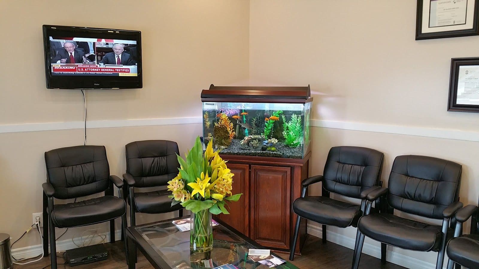 Guest photo from a Google review at Dr. Qazi Family Dental Care